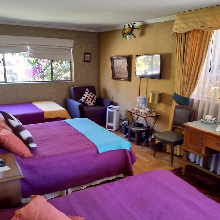Bed & Breakfast Blumen Haus Santiago de Chile Zewnętrze zdjęcie