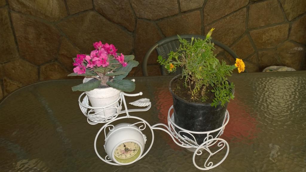 Bed & Breakfast Blumen Haus Santiago de Chile Zewnętrze zdjęcie
